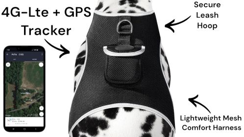 Portable Surveillance System GPS Pet Tracking Collars for Hunting Dogs Size:XS